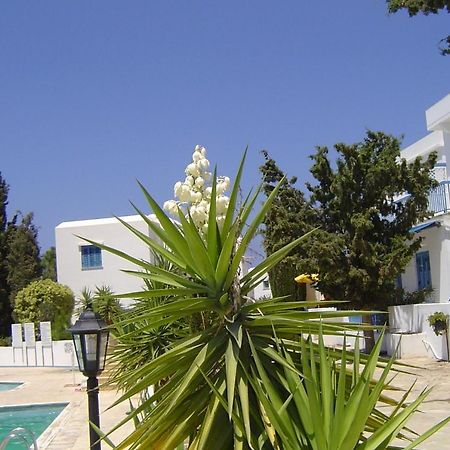 Ikaria Village Maisonette 12 Paphos Exterior foto